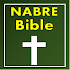 New American Bible Revised Edition (NABRE) 8.0