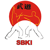Basic Katas Shotokan free icon