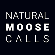 Natural Moose Calls