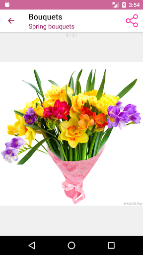 Bouquets Screen 3