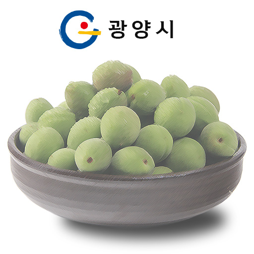 매실기상서비스