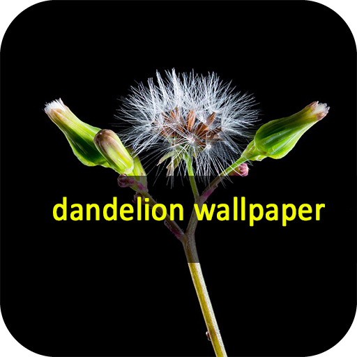 wallpaper dandelion logo