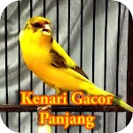 Cover Image of डाउनलोड Kicau Kenari Ngerol Panjang  APK