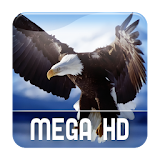 Mega Video HD icon