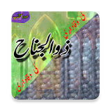 Zuljinah Ki Wafadare (Urdu Book) icon