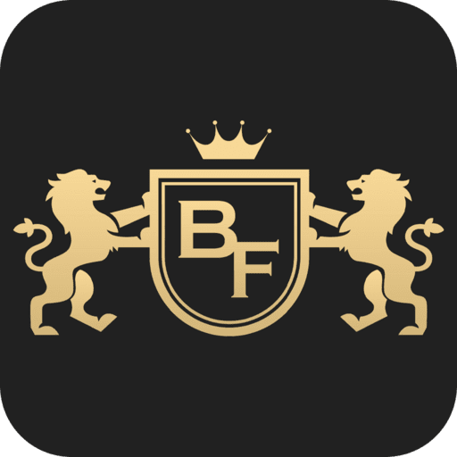Big.and.fast logo