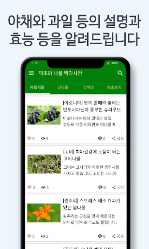 약초와 나물 백과사전 - 몸에 좋은 식재료 확인 Screen 2