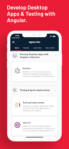 Screenshot of Learn Angular: AngularDev PRO
