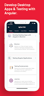 آموزش Angular: تصویر صفحه AngularDev PRO