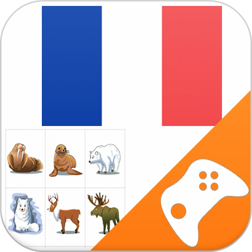 French Game: Word Game, Vocabu
