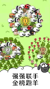 Sheep sheep