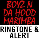 Boyz n da Hood Marimba Tone icon