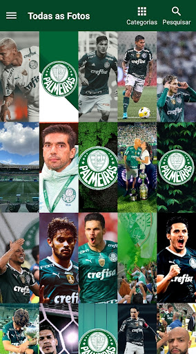 Android application Palmeiras Papel de Parede - HD screenshort
