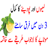 Lemon And Mint Water Best Weight Loss Drink New icon