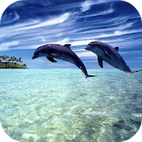 Magic Dolphins Live Wallpaper icon