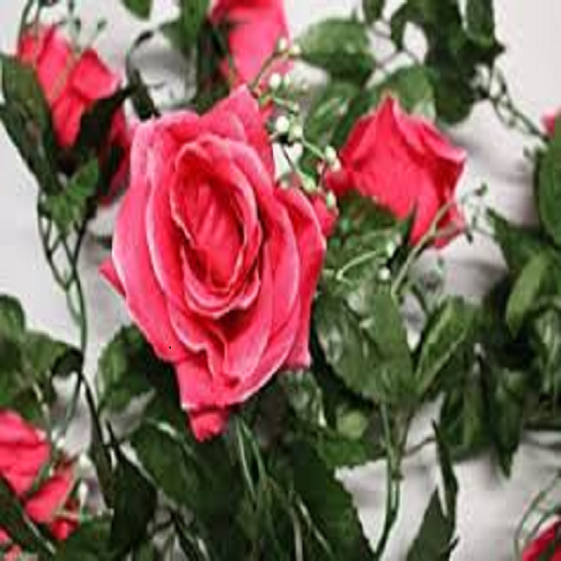 GLIMPSES OF PROBLEMS - MISC