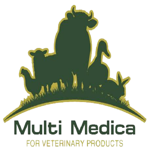 Multimedica Visits logo