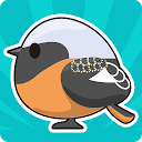 Tori Watch 2 - fluffy birds - 3.11.1 APK Download
