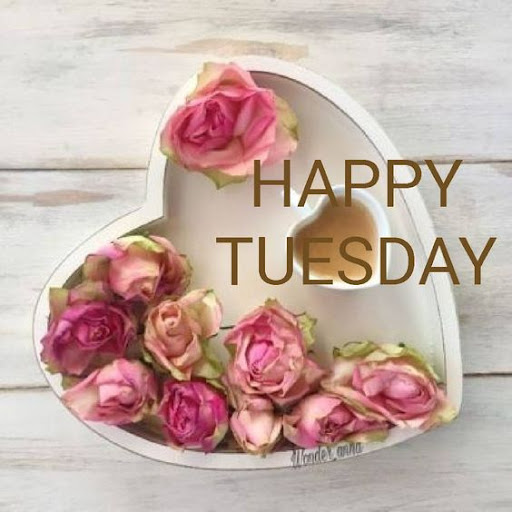 GoodNight GoodMorning GIF 2023