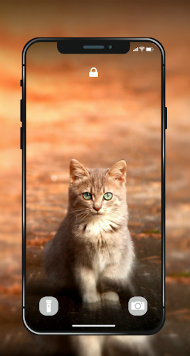 🐱 Cat Wallpapers - Cute 4K  HD Cat Pictures ❤