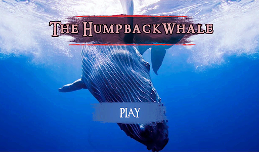 The Humpback Whales 13