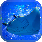 Aquarium manta simulation game icon
