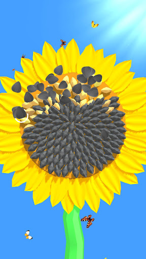 Sunflower Inc Screen 2