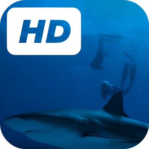 Tiger Sharks Live Wallpaper