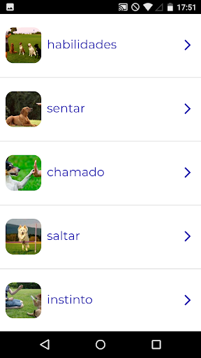 Visualização do aplicativo