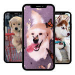 Cover Image of ดาวน์โหลด cute dog wallpapers 1.0.0 APK