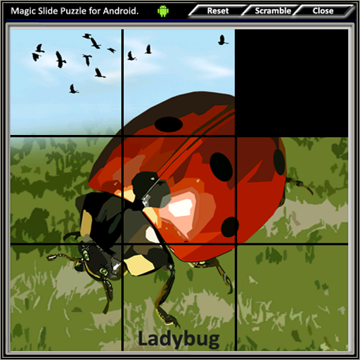 Magic Slide Puzzle Insects 1 1.29 Icon