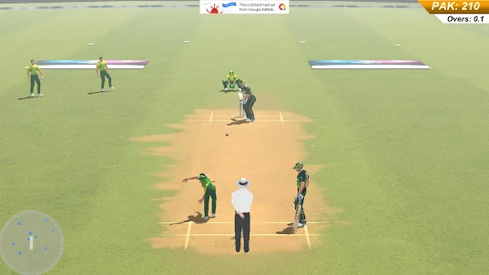 Cricket Mania : Real Cricket