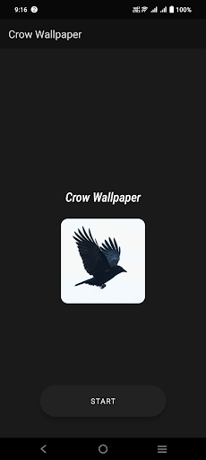 Crow Wallpaper Screen 2