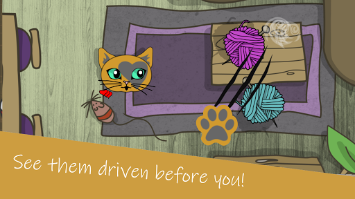 Kedi Cat Screen 2