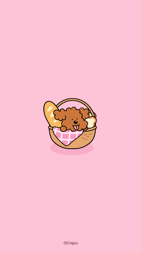 Android application 카카오톡 테마 - 심플 강아지톡_푸들 screenshort