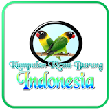 Kicau Burung Indonesia icon