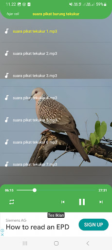 Suara pikat burung tekukur Screen 2