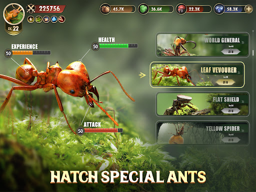 The Ants: Underground Kingdom - Strategy - games