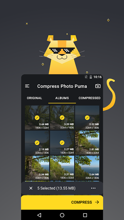 Puma: Photo Resizer Compressor - 1.0.80 - (Android)