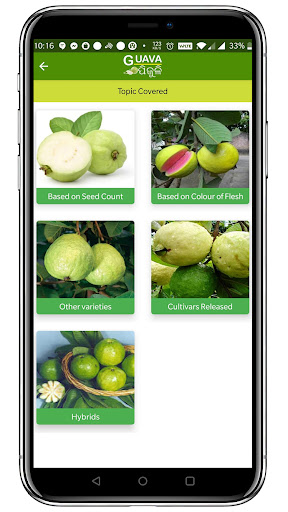 OUAT Guava Screen 3
