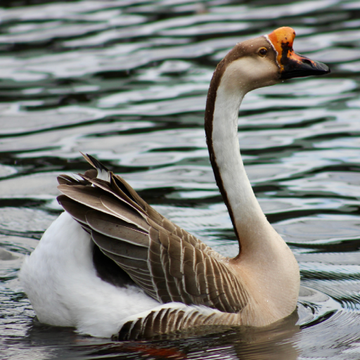 Goose Sounds logo