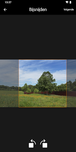 Picture Share Screen 3