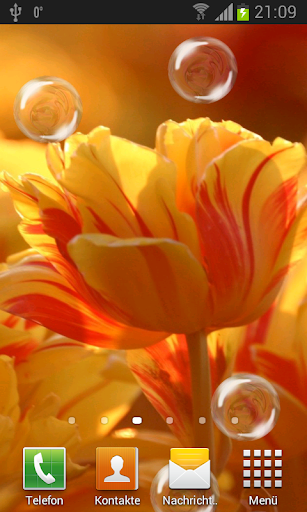 Android application Tulips live wallpaper screenshort