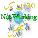 Net Working icon