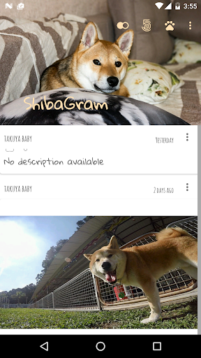 Android application Shibagram screenshort