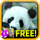 Panda Slots - Free icon