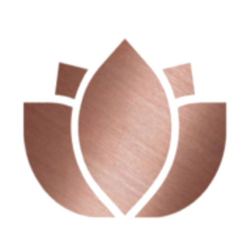 SHEQONOMI logo