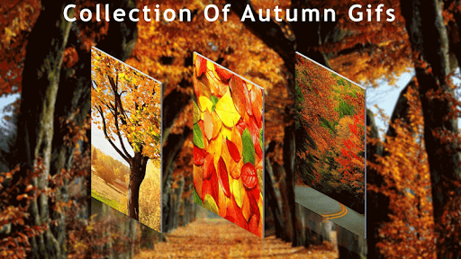 Autumn GIFs