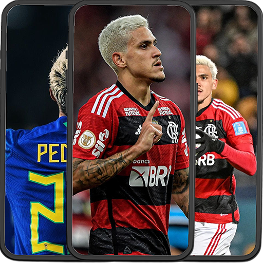 Pedro Flamengo Wallpapers logo