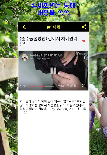반려동물 건강과 행복 Screen 3